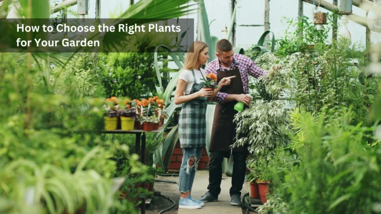 How to Choose the Right Plants for Your Garden